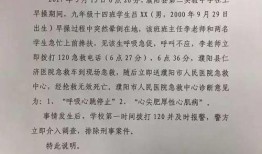 濮阳事件爆料最新情况,真相逐步浮出水面