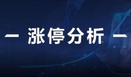 今日财经爆料新闻最新,揭秘行业巨头新动向