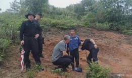 全南爆料嫌疑人最新消息,嫌疑人最新动向及案件进展揭秘