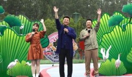 冤案爆料视频最新消息新闻,最新进展揭秘真相